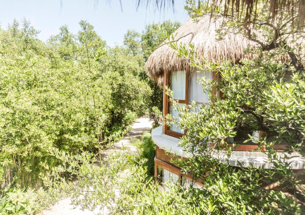 Mamasan Treehouses & Cabins Tulum Exteriér fotografie