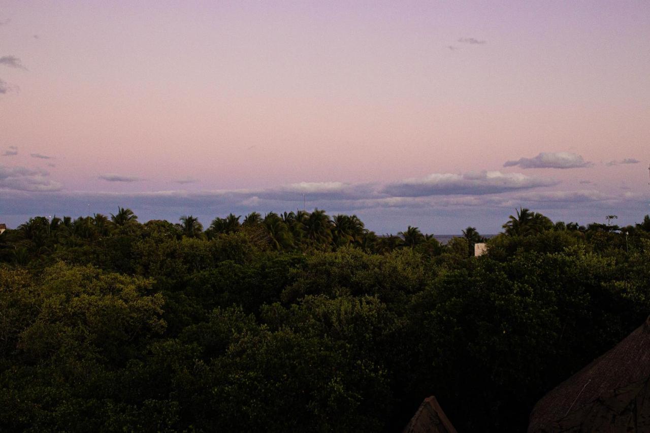 Mamasan Treehouses & Cabins Tulum Exteriér fotografie