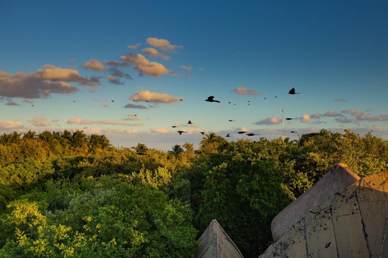 Mamasan Treehouses & Cabins Tulum Exteriér fotografie